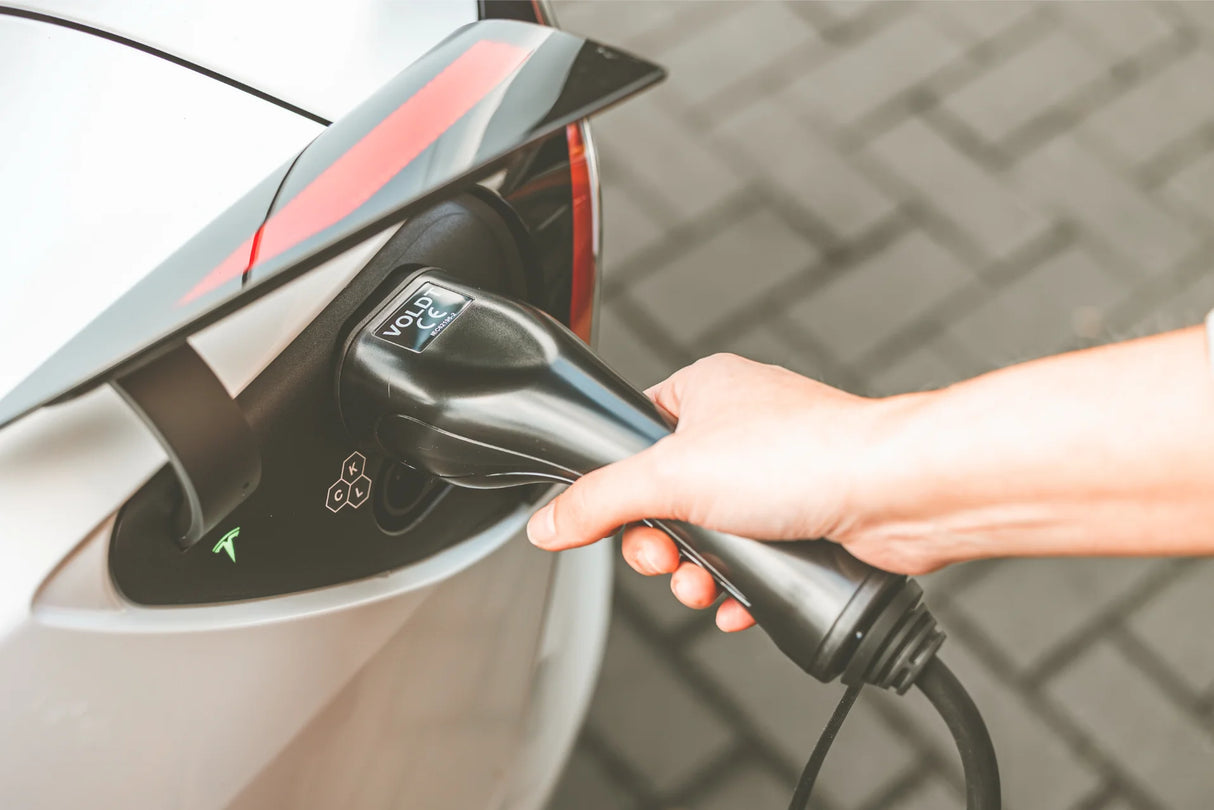 🇳🇱 Voldt Booster EU Traveller Set