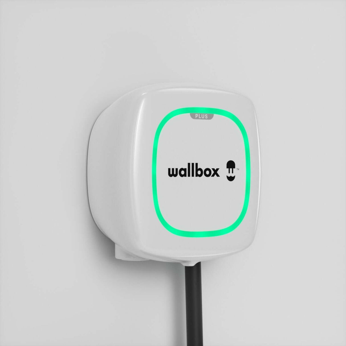 Een witte Voordeelset Laadstation Wallbox Pulsar Plus (3,7kW-22kW) met groene LED is gemonteerd op een witte muur. Aan de onderkant hangt een zwarte type 2 vaste kabel (5 of 7 meter).