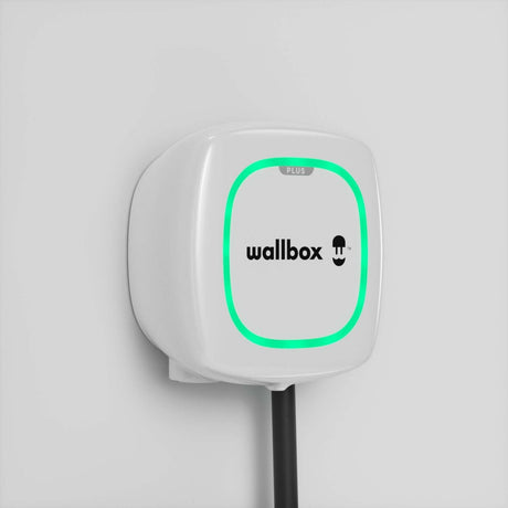 Een witte Voordeelset Laadstation Wallbox Pulsar Plus (3,7kW-22kW) met groene LED is gemonteerd op een witte muur. Aan de onderkant hangt een zwarte type 2 vaste kabel (5 of 7 meter).
