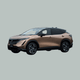 Nissan Ariya 63kWh Evolve + 87kWh (2022–heden) – laadkabels & laden