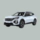 Peugeot e-2008 50 kWh 136 & 54 kWh 156 (2019–heden) - laadkabels & laden