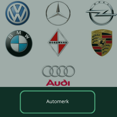 mobiele thuislader per automerk