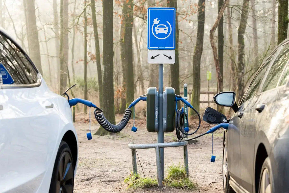 Twee elektrische auto's laden op met een 🇳🇱 Laadkabel Type 1 naar Type 2 | 1-fase 32A | 7.4kW bij een buitenstation gemarkeerd door een blauw EV-oplaadbord, omgeven door bomen en mist voor een serene sfeer.