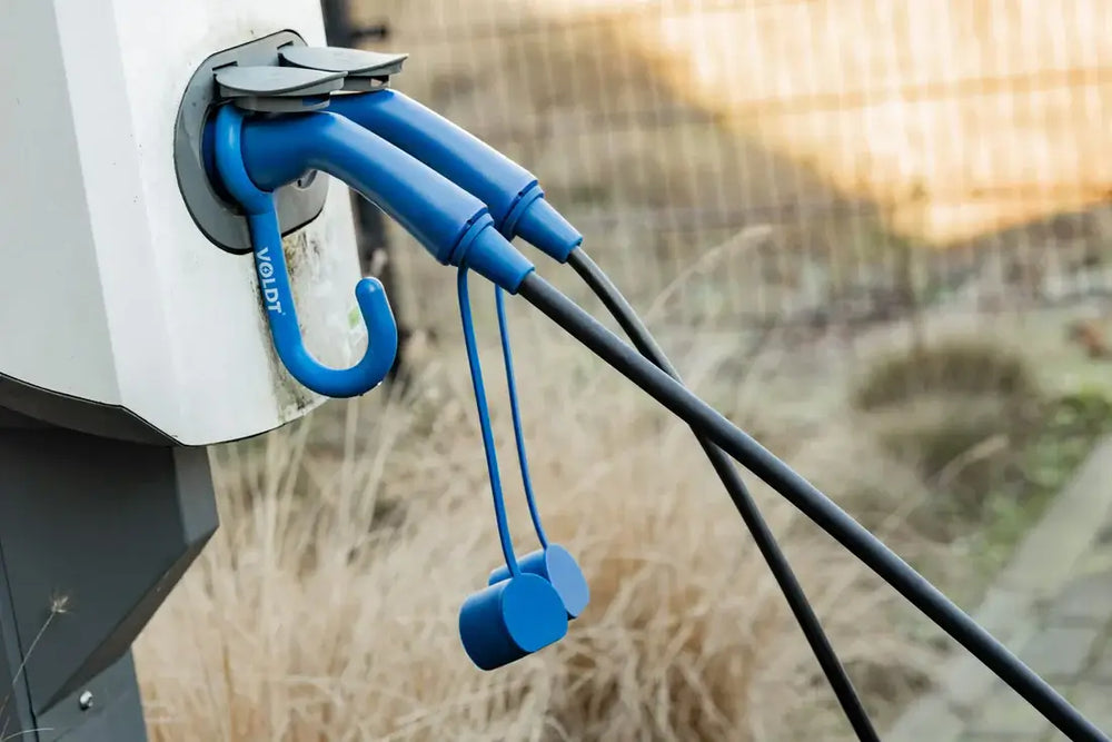 Twee blauwe 🇳🇱 Laadkabels Type 1 naar Type 2 (1-fase 32A, 7,4kW) voor elektrische auto's aangesloten op een buitenstation, met omlaag hangende beschermkappen en droog gras op de achtergrond - perfect voor betrouwbaar opladen.