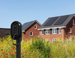 Montagepaal Dubbel voor Ratio EV Laadstation