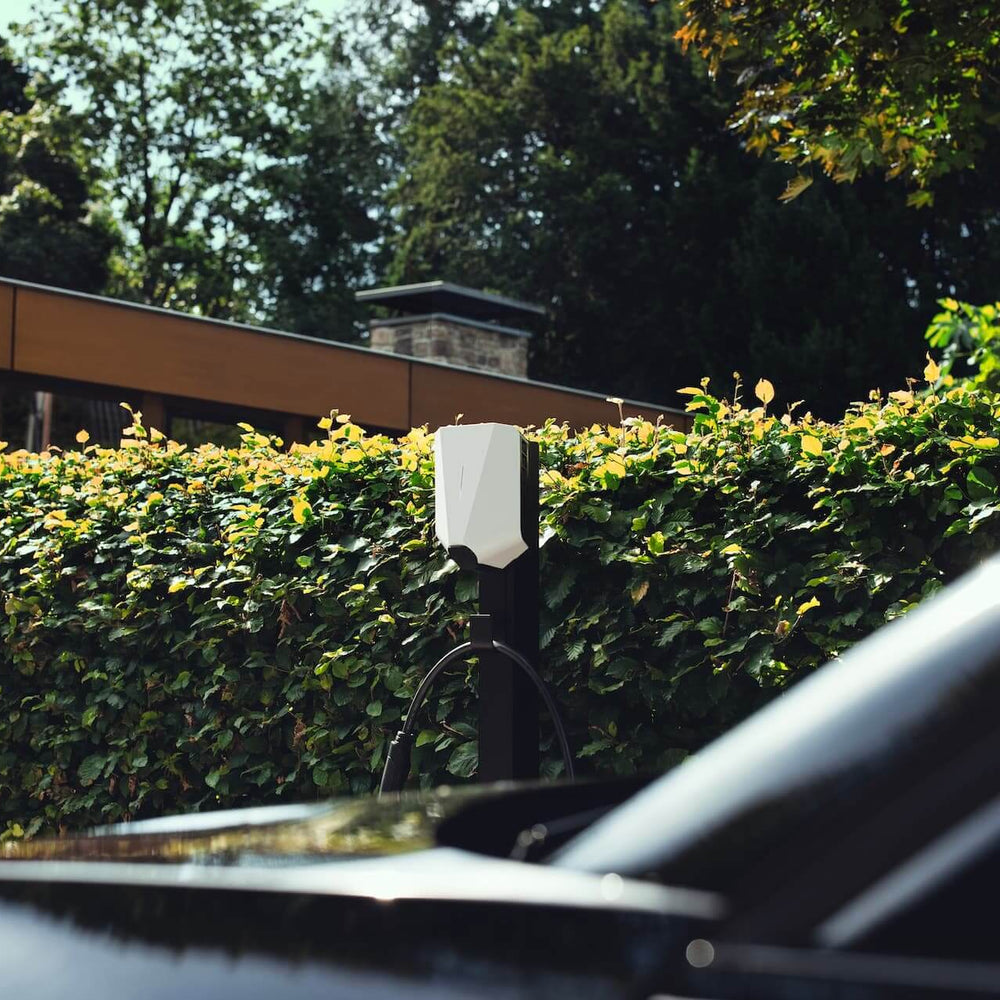 Een zwarte elektrische auto staat geparkeerd bij een heg met een Easee UP 22kW oplaadpunt elektrisch voertuig erop gemonteerd. Bomen en een deel van een gebouw zijn zichtbaar op de achtergrond.